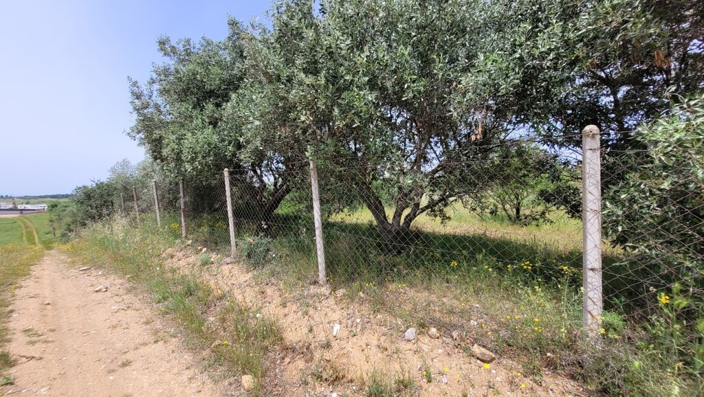Land in Panorama, Thessaloniki – Suburbs, Greece – 66085