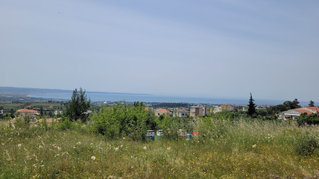 Land in Panorama, Thessaloniki – Suburbs, Greece – 66085