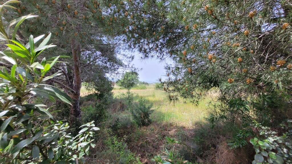 Land in Panorama, Thessaloniki – Suburbs, Greece – 66085