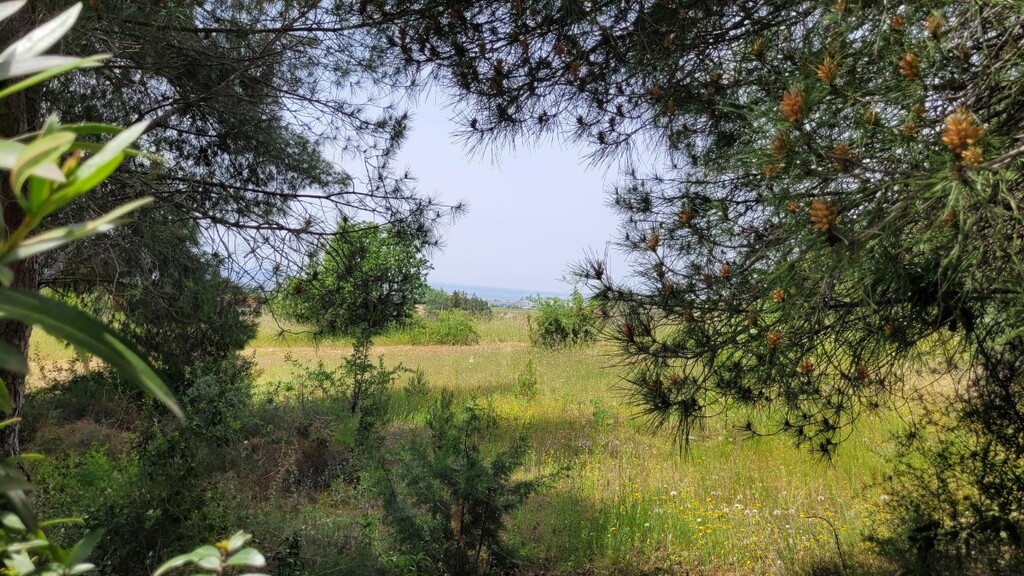 Land in Panorama, Thessaloniki – Suburbs, Greece – 66085