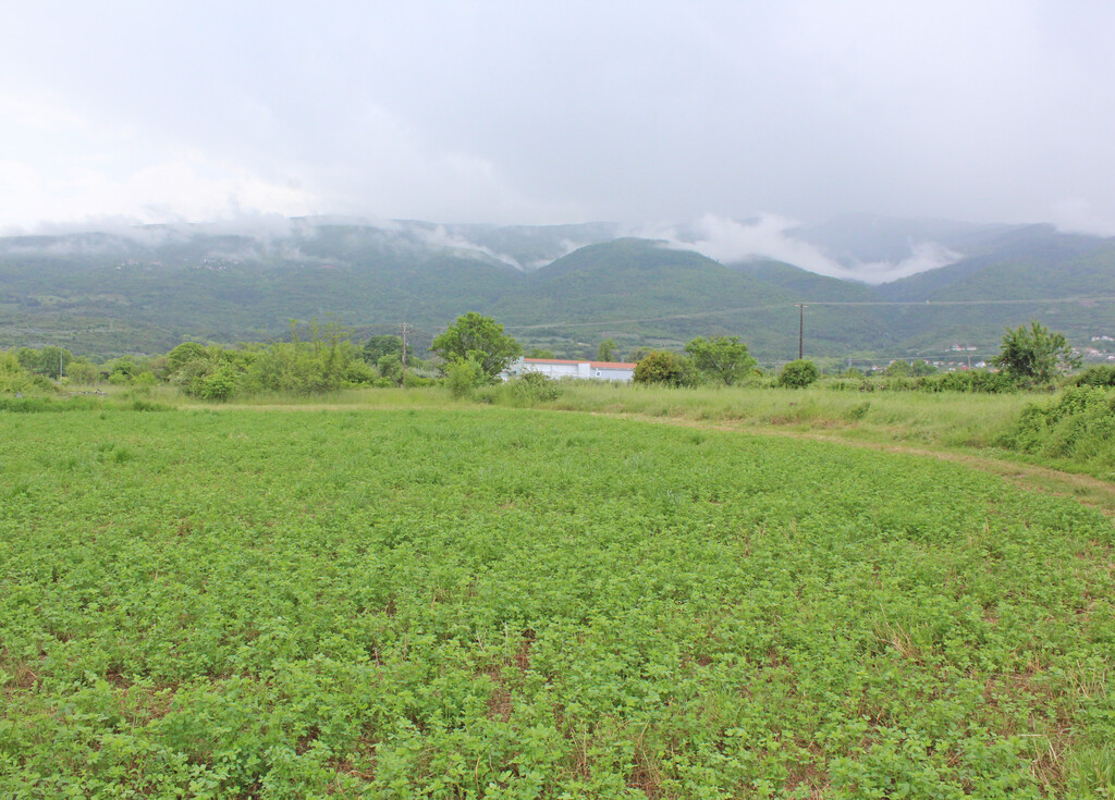 Land in Easts Olimpos, Pieria Prefecture, Greece – 66041