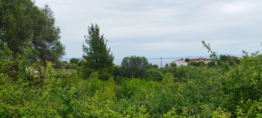 Land in Kassandra, Chalkidiki, Greece – GDOMV3