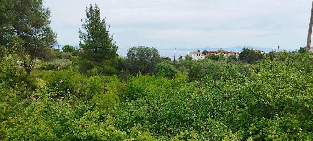 Land in Kassandra, Chalkidiki, Greece – 66008