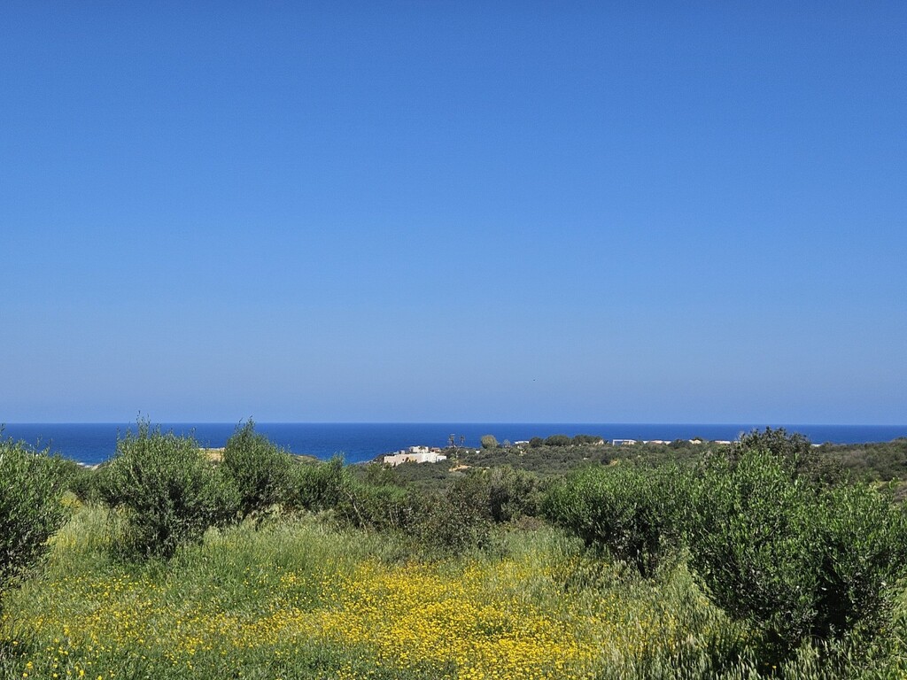Land in Vrachasi, Lasithi Prefecture, Greece – GDOMV3