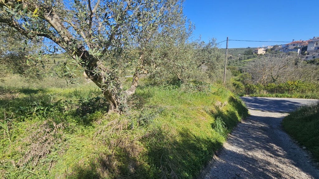 Land in Nikos Kazantzakis, Heraklion Prefecture, Greece – GDOMV3