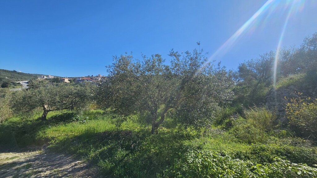Land in Nikos Kazantzakis, Heraklion Prefecture, Greece – GDOMV3
