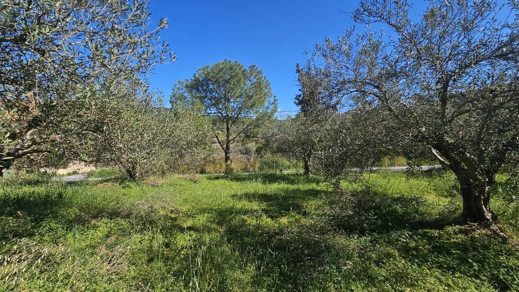 Land in Nikos Kazantzakis, Heraklion Prefecture, Greece – GDOMV3
