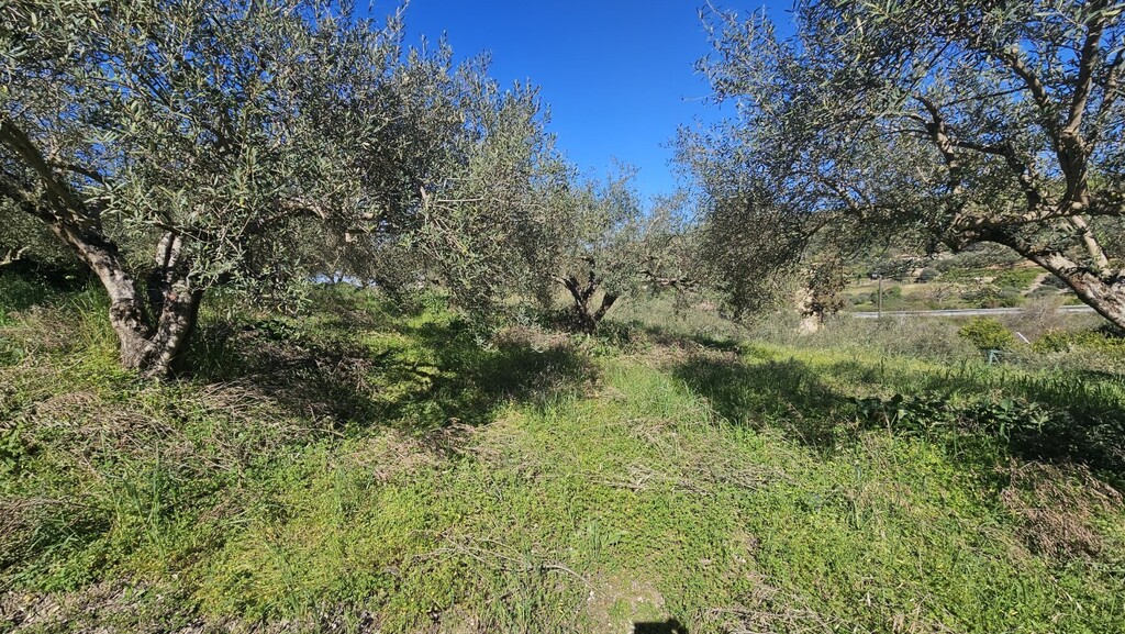Land in Nikos Kazantzakis, Heraklion Prefecture, Greece – GDOMV3
