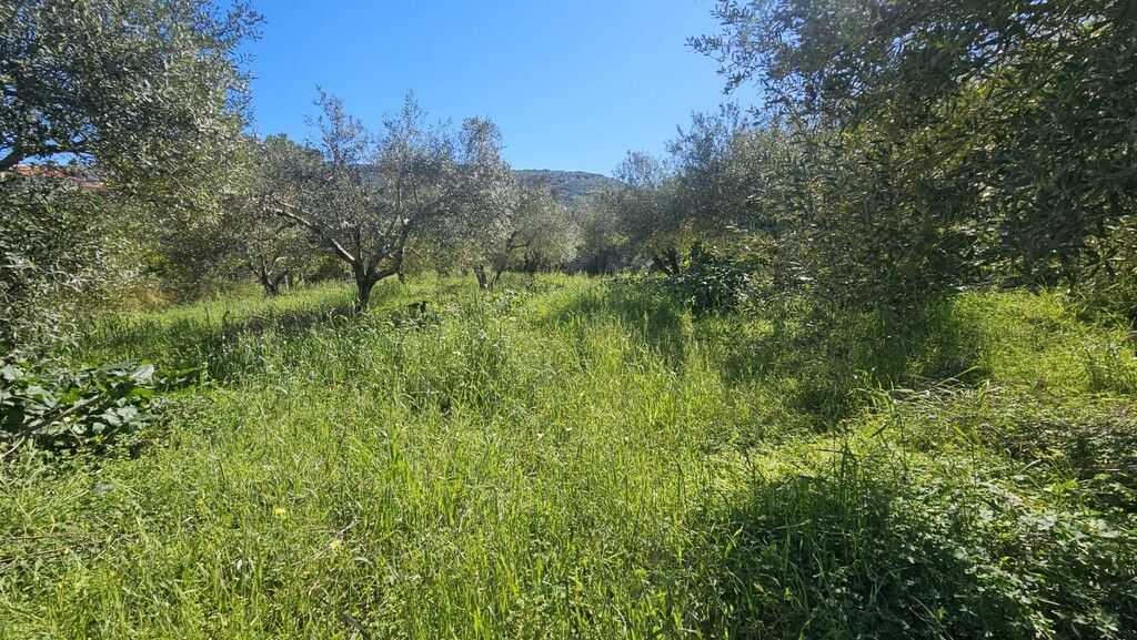 Land in Nikos Kazantzakis, Heraklion Prefecture, Greece – GDOMV3
