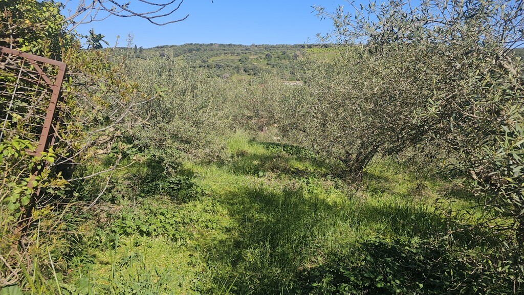 Land in Nikos Kazantzakis, Heraklion Prefecture, Greece – GDOMV3