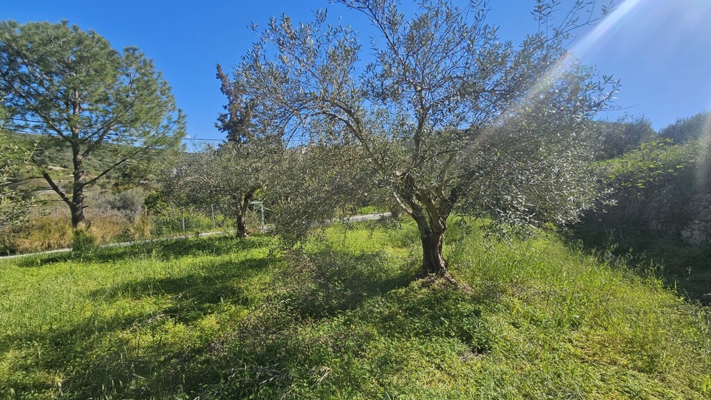 Land in Nikos Kazantzakis, Heraklion Prefecture, Greece – GDOMV3