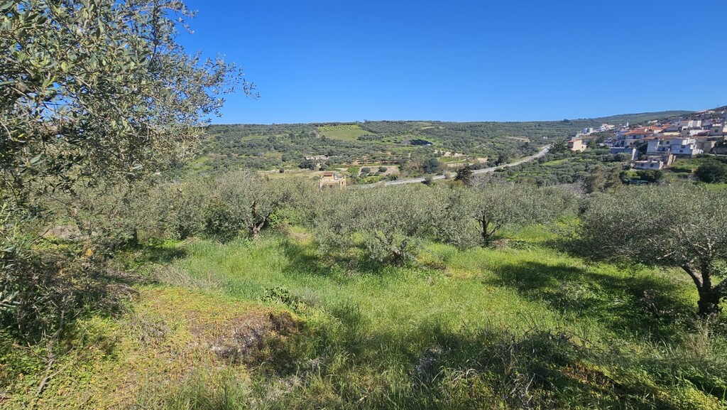 Land in Nikos Kazantzakis, Heraklion Prefecture, Greece – GDOMV3