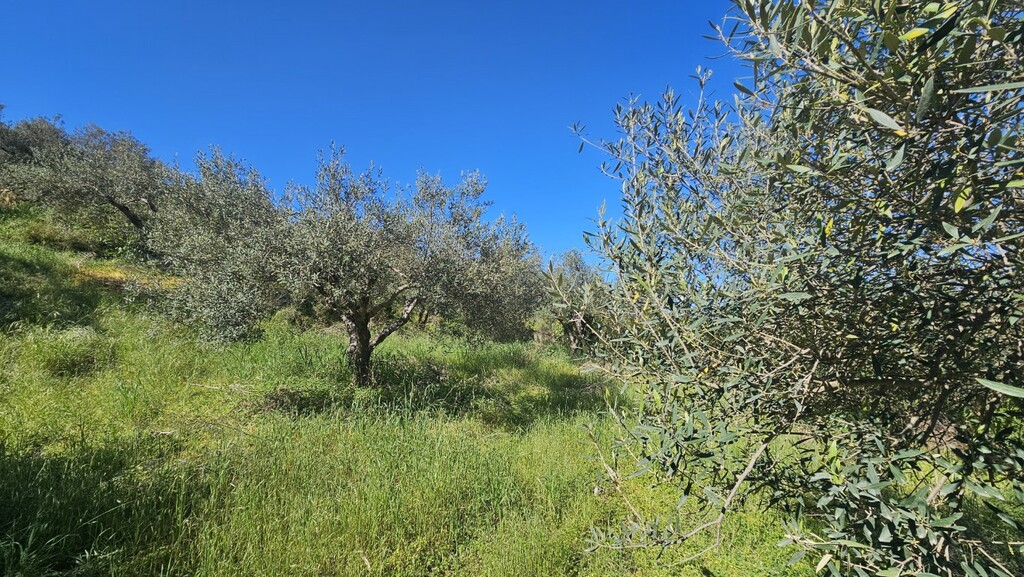 Land in Nikos Kazantzakis, Heraklion Prefecture, Greece – GDOMV3