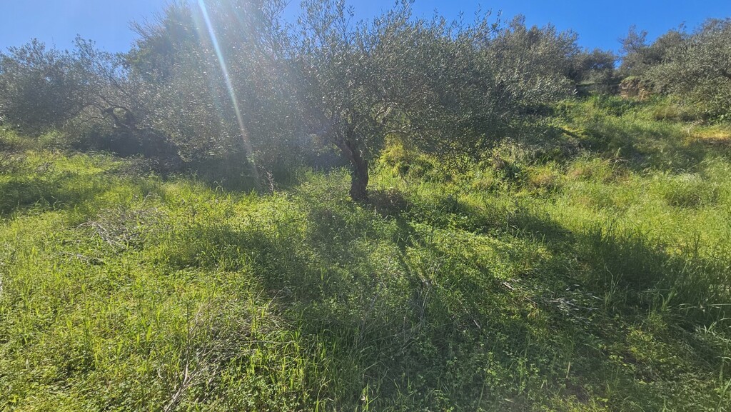 Land in Nikos Kazantzakis, Heraklion Prefecture, Greece – GDOMV3