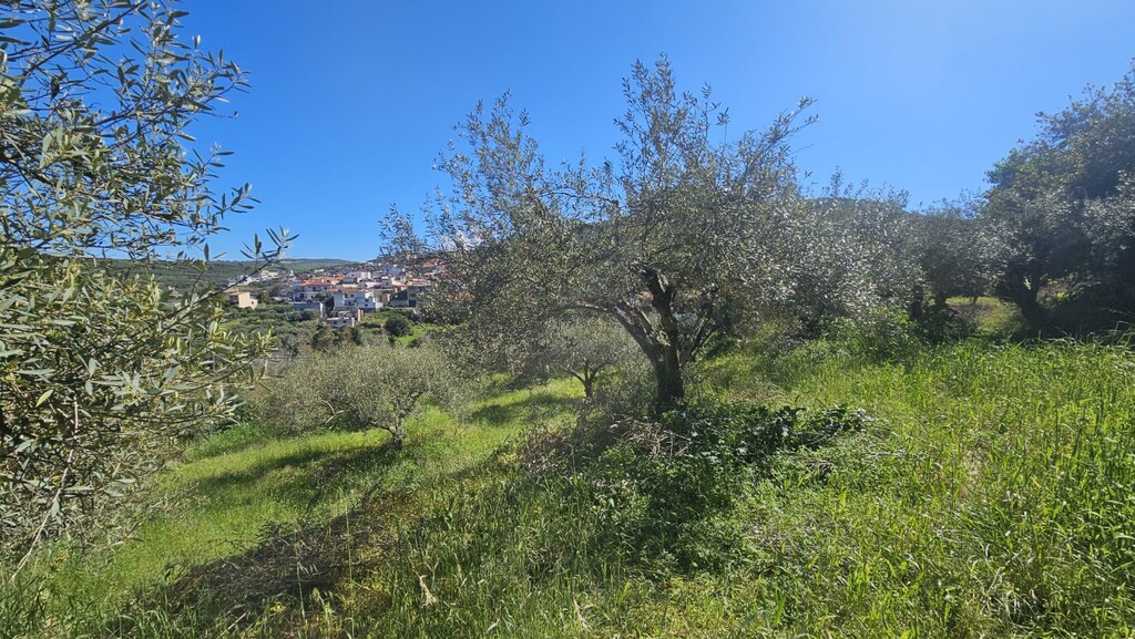 Land in Nikos Kazantzakis, Heraklion Prefecture, Greece – GDOMV3