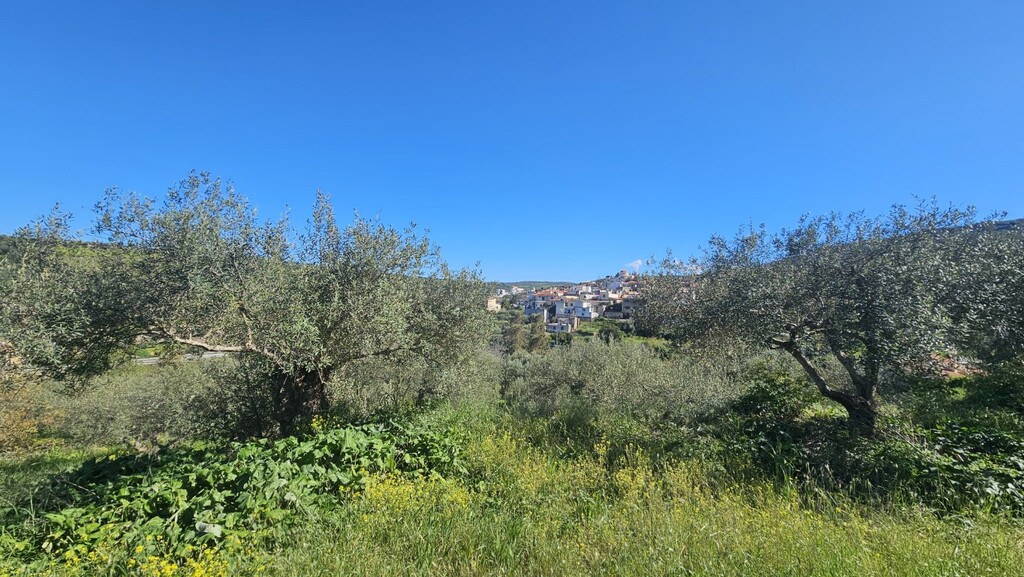 Land in Nikos Kazantzakis, Heraklion Prefecture, Greece – GDOMV3