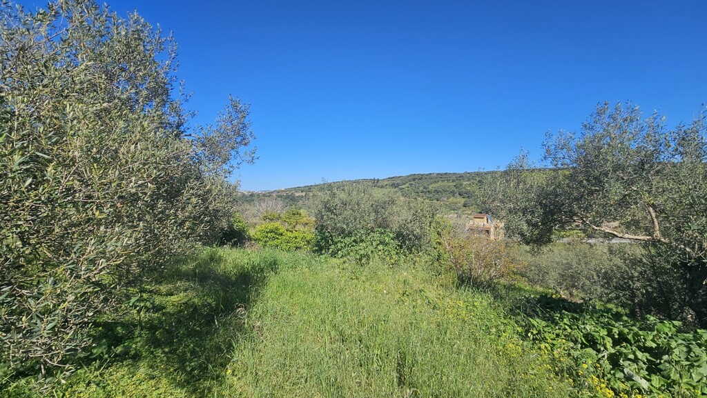 Land in Nikos Kazantzakis, Heraklion Prefecture, Greece – GDOMV3