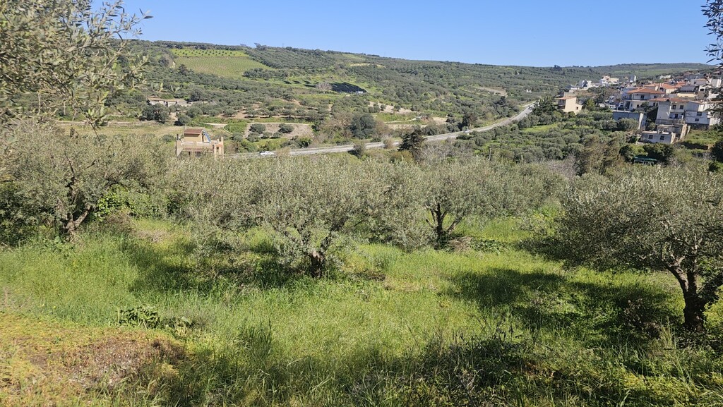 Land in Nikos Kazantzakis, Heraklion Prefecture, Greece – GDOMV3