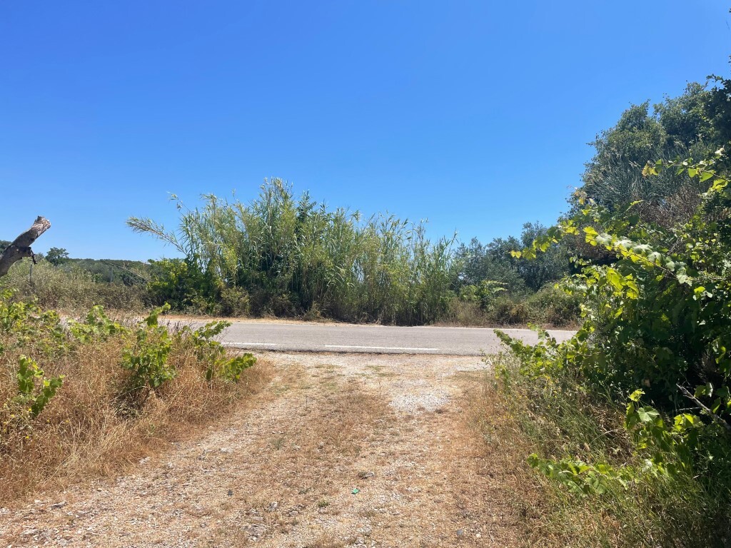 Land in Corfu, Corfu Prefecture, Greece – GDOMV3