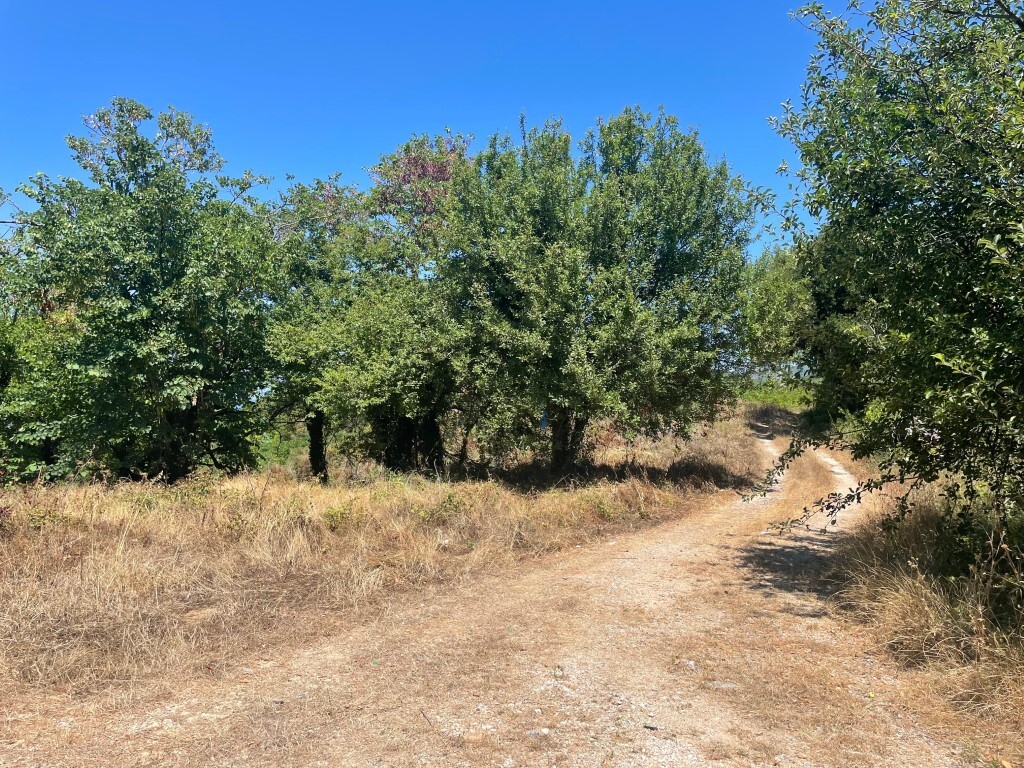 Land in Corfu, Corfu Prefecture, Greece – GDOMV3