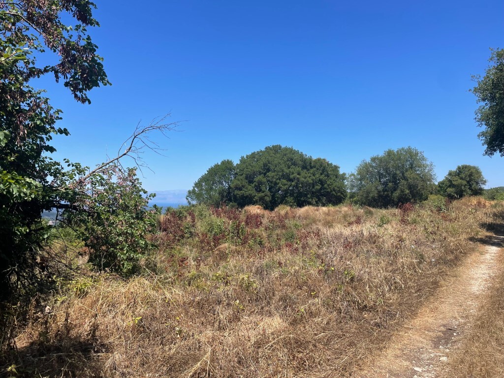 Land in Corfu, Corfu Prefecture, Greece – GDOMV3