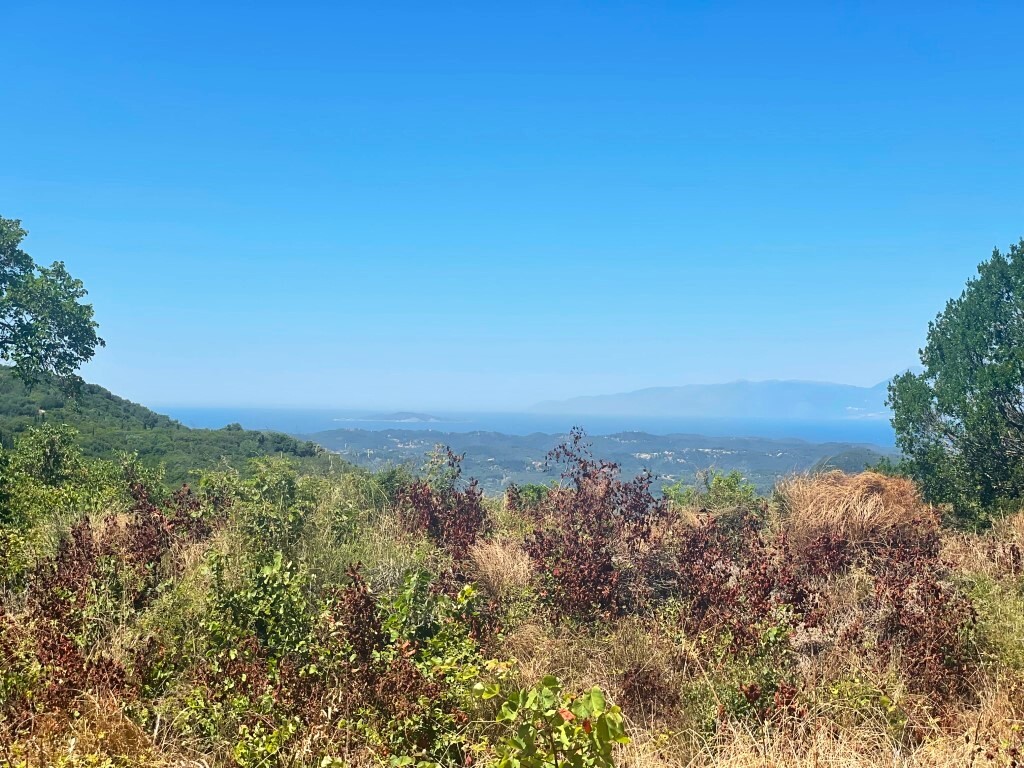 Land in Corfu, Corfu Prefecture, Greece – GDOMV3