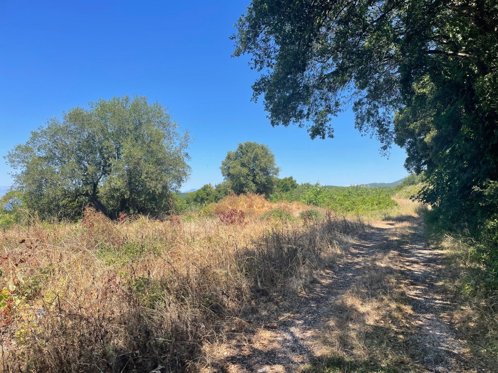 Land in Corfu, Corfu Prefecture, Greece – GDOMV3
