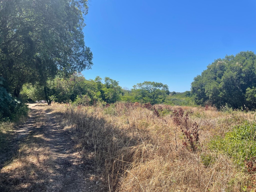 Land in Corfu, Corfu Prefecture, Greece – GDOMV3