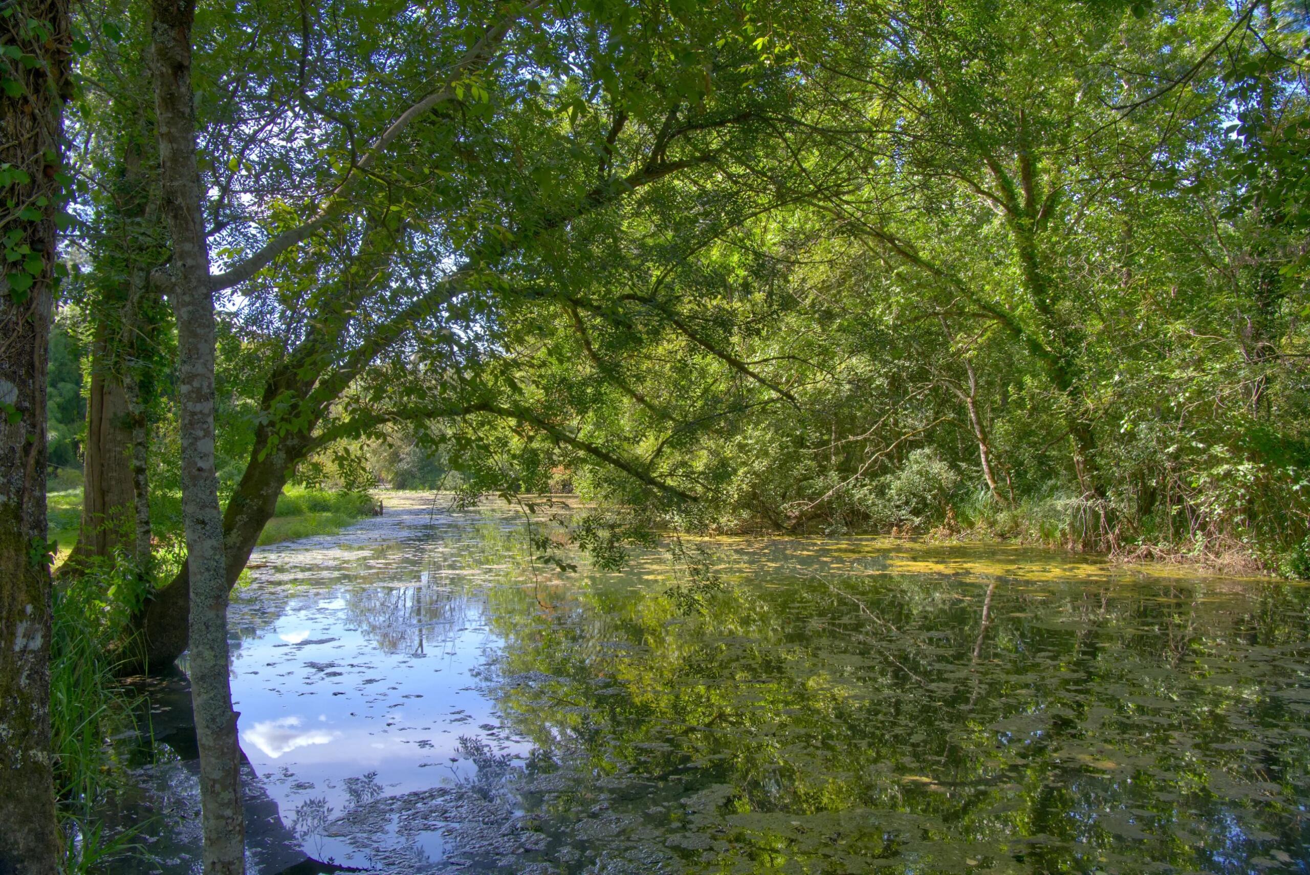 Village house to finish renovating with river frontage in lovely village with a bar, Poitou-Charentes – France – BVI85805