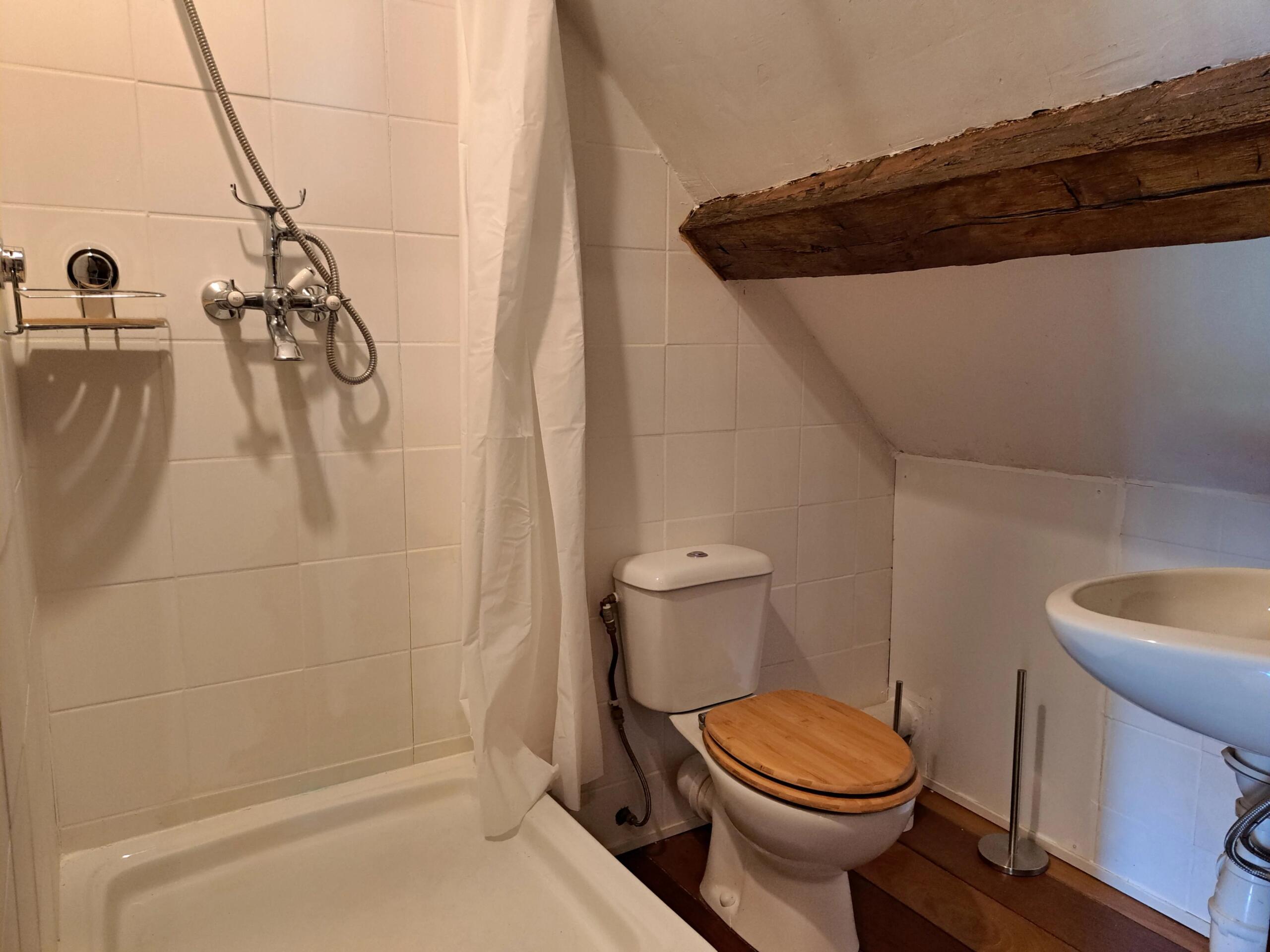 Charming country home with character, Centre – France – BVI85919