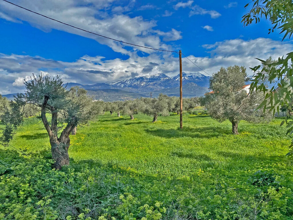 Land in Timpaki, Heraklion Prefecture, Greece – GDOMV3