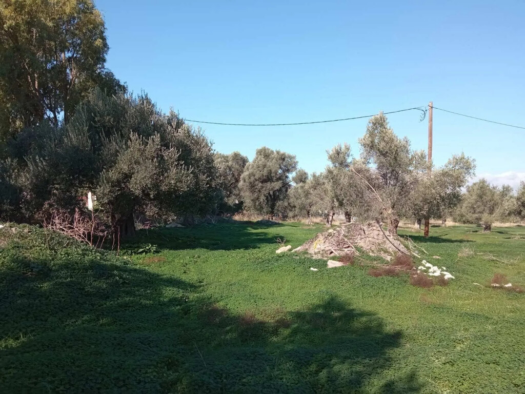 Land in Timpaki, Heraklion Prefecture, Greece – 65816