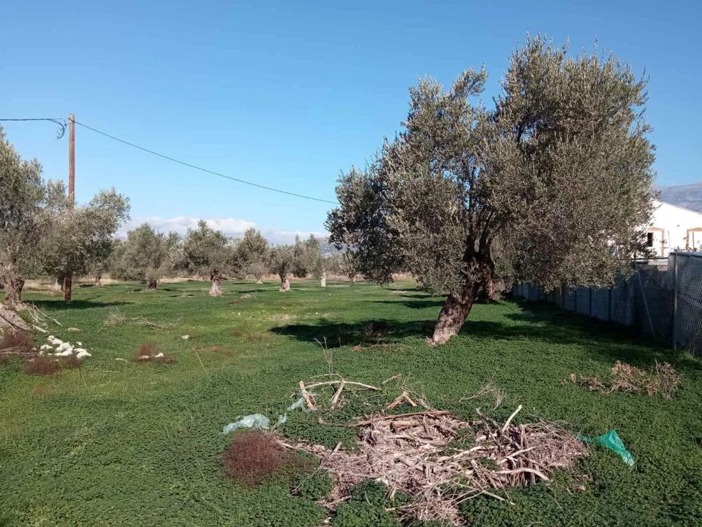 Land in Timpaki, Heraklion Prefecture, Greece – 65816