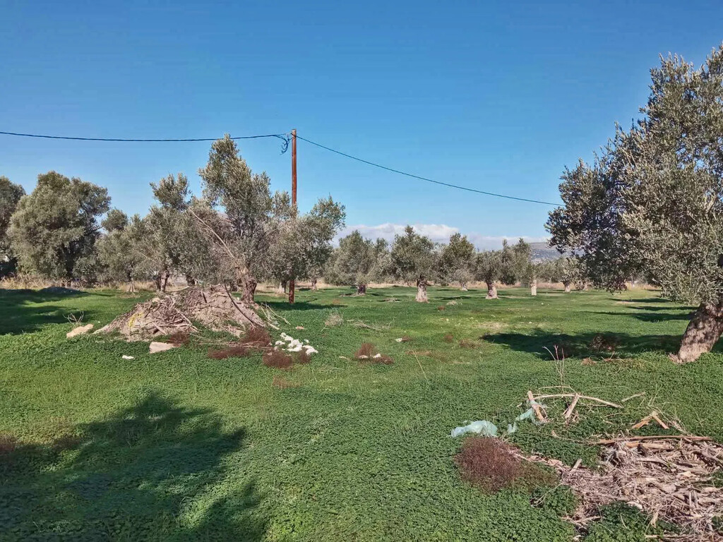 Land in Timpaki, Heraklion Prefecture, Greece – 65816