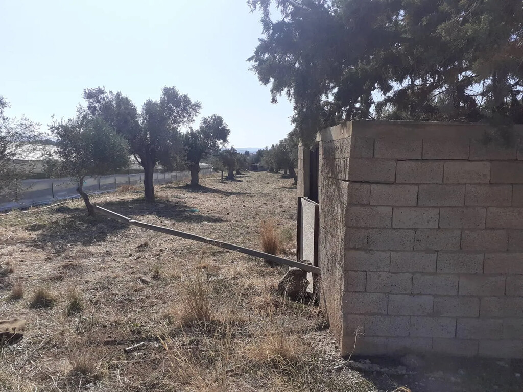 Land in Timpaki, Heraklion Prefecture, Greece – 65816