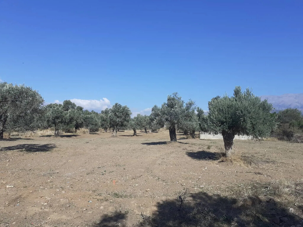 Land in Timpaki, Heraklion Prefecture, Greece – 65816
