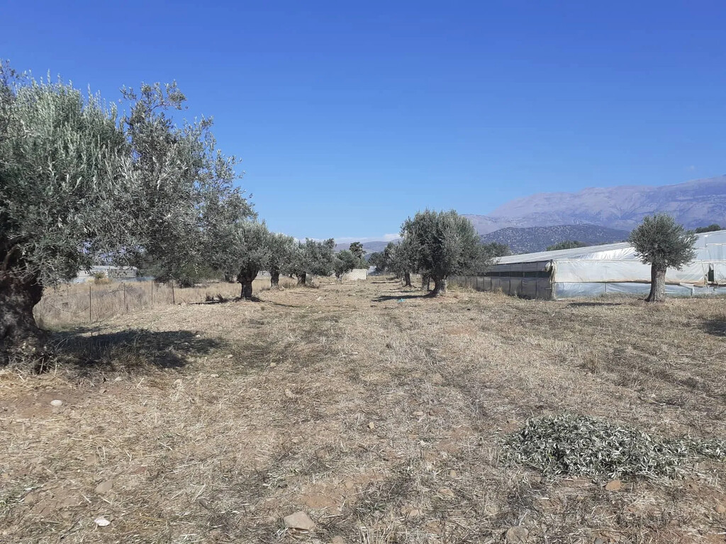 Land in Timpaki, Heraklion Prefecture, Greece – 65816