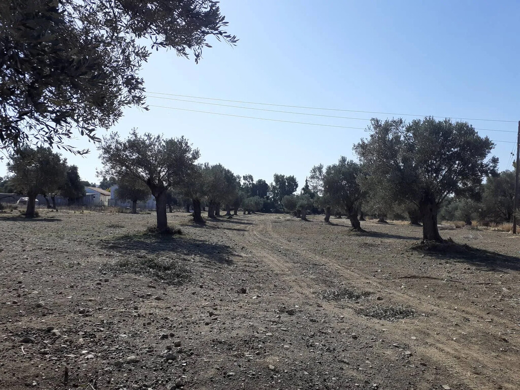 Land in Timpaki, Heraklion Prefecture, Greece – 65816