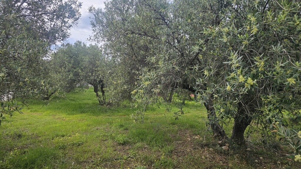 Land in Chersonisos, Heraklion Prefecture, Greece – 65785