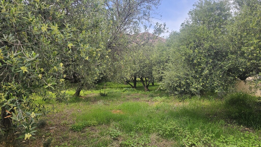 Land in Chersonisos, Heraklion Prefecture, Greece – 65785