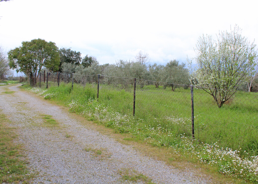 Land in Litochoro, Pieria Prefecture, Greece – 65750