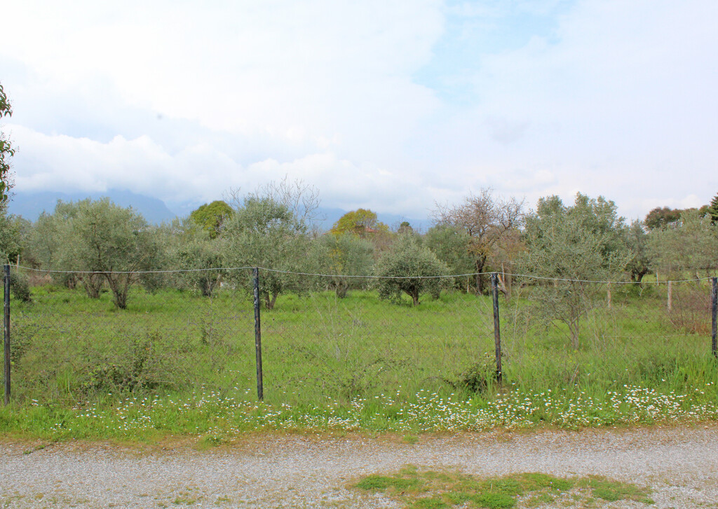 Land in Litochoro, Pieria Prefecture, Greece – 65750
