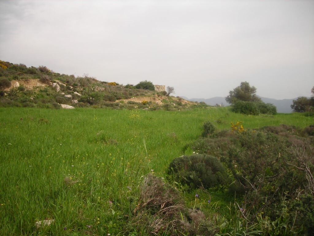 Land in Gortina, Heraklion Prefecture, Greece – GDOMV3