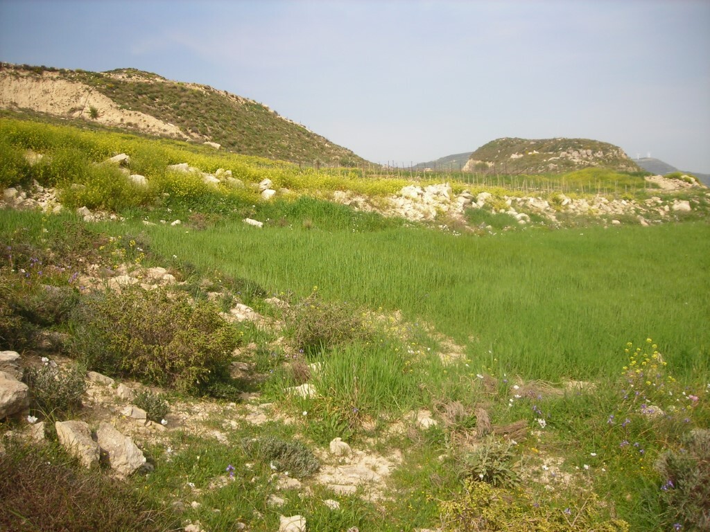 Land in Gortina, Heraklion Prefecture, Greece – GDOMV3