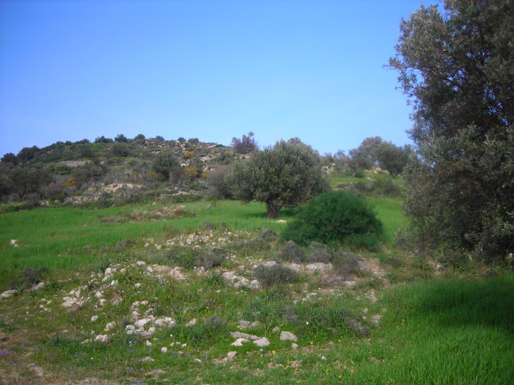 Land in Gortina, Heraklion Prefecture, Greece – GDOMV3