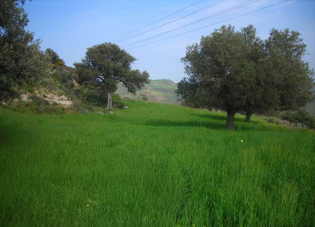 Land in Gortina, Heraklion Prefecture, Greece – GDOMV3