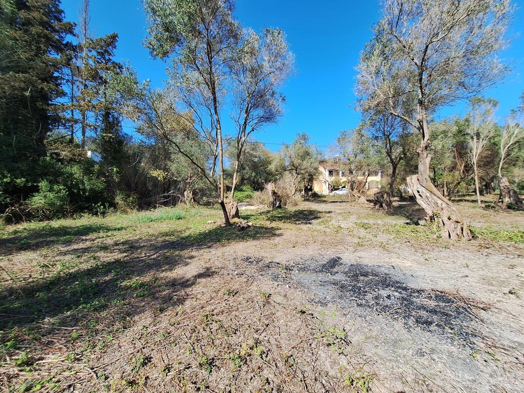 Land in Corfu, Corfu Prefecture, Greece – GDOMV3