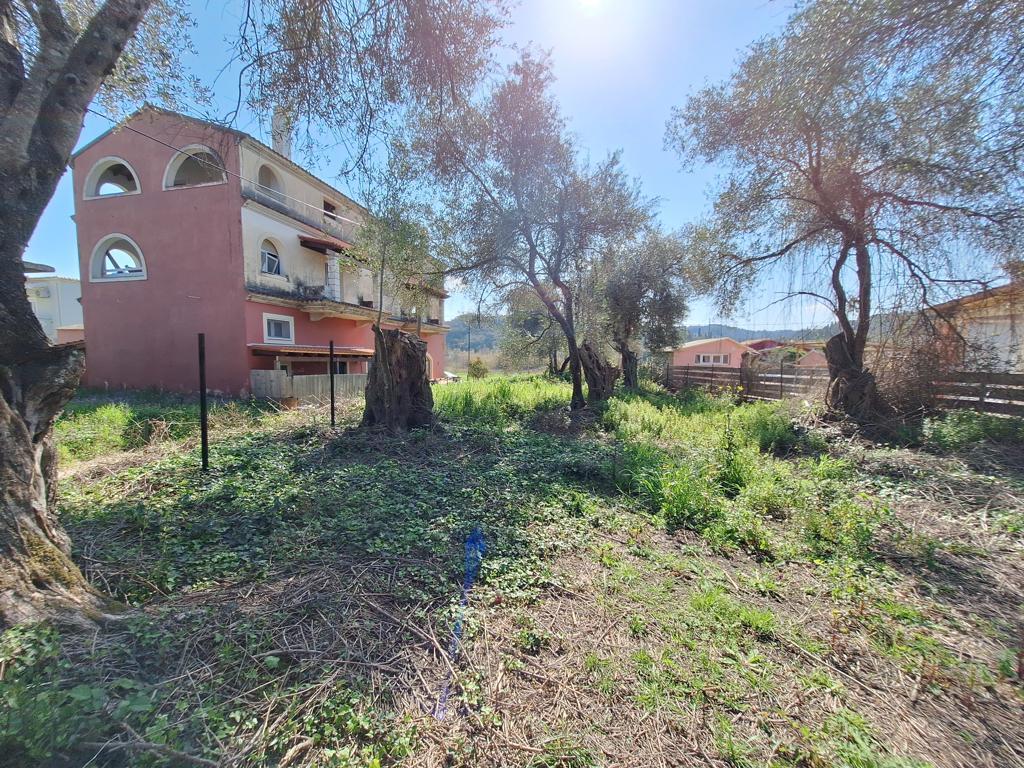 Land in Corfu, Corfu Prefecture, Greece – GDOMV3