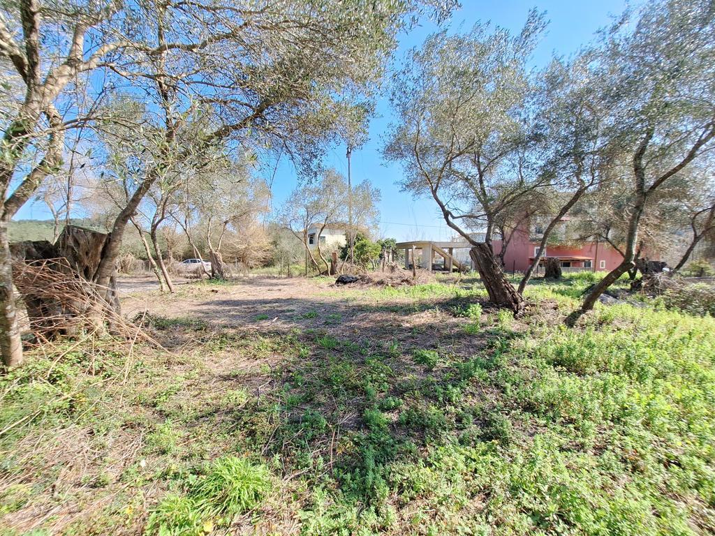 Land in Corfu, Corfu Prefecture, Greece – GDOMV3