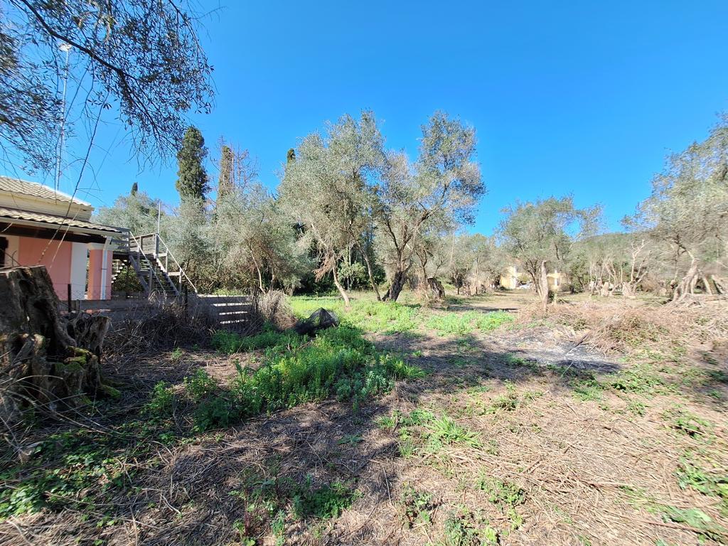 Land in Corfu, Corfu Prefecture, Greece – GDOMV3